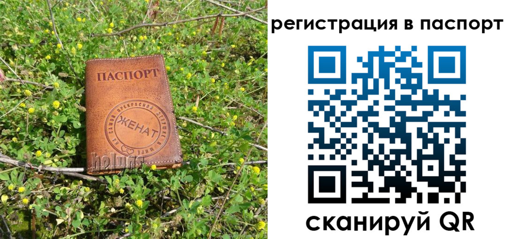 прописка законно в Чувашии